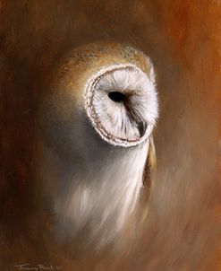 1406 Barn Owl