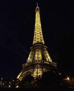 Eiffel Tower Night View