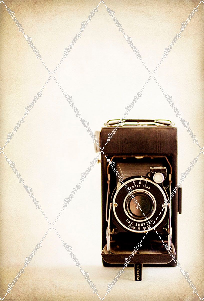 Kodak Vigilant Junior Six-20