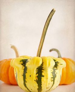 Gourds 1