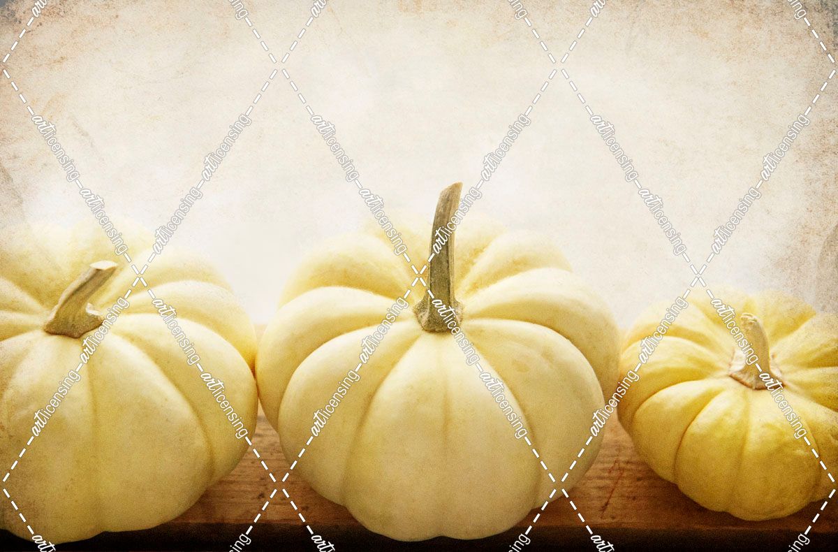 Pumpkins 3