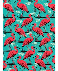 Scarlet Ibis