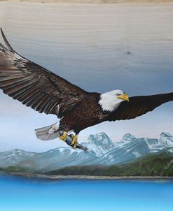 Bald Eagle Mountain