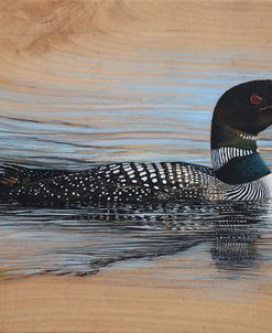 Loon Reflection