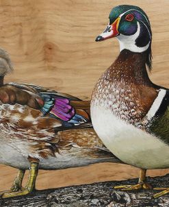 Wood Ducks Home Sweet Home