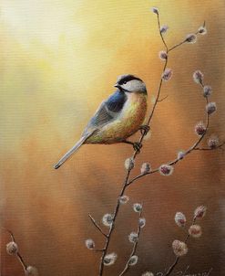 Chickadee