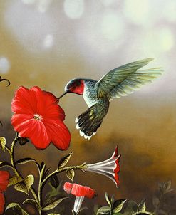 Ruby Throated Hummingbird