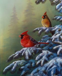 Winter Refuge – Cardinal I