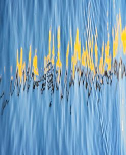 Boat Color Reflections