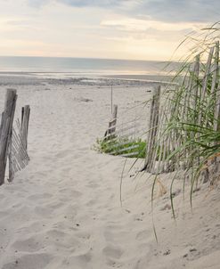 Shoreline Path