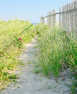 Seagrass Way