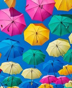 Umbrella  Art