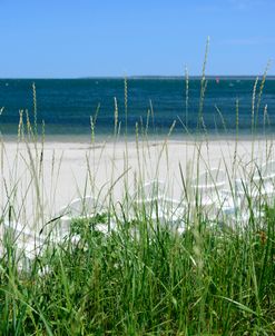 Coastal View