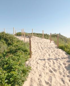 Sand Trails