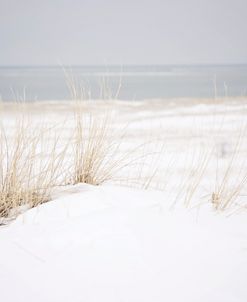 Snowy Cranes Beach