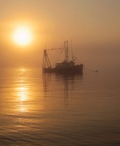 First Light