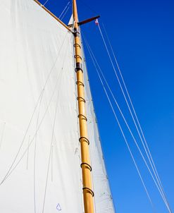 Full Sail