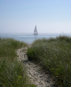 Morning Sail