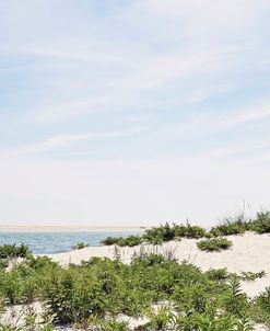 Summer Dunes