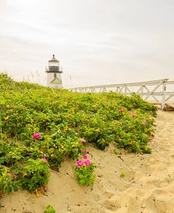 Summer At Brant Point