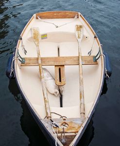 Stillness By The Sea