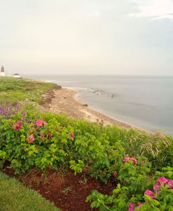 Summer At Point Judith