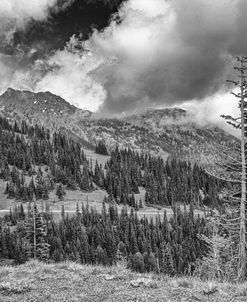 Hurricane Ridge