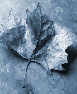 Leaf Blue