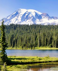 Mighty Mt Rainier