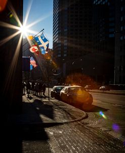 City Flags