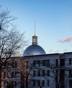 Silver Dome