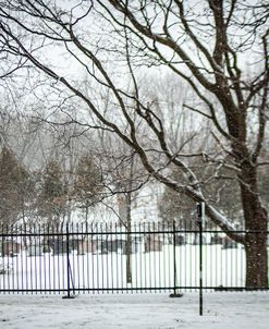 Winter Cemetery