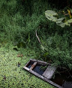 Old Boat