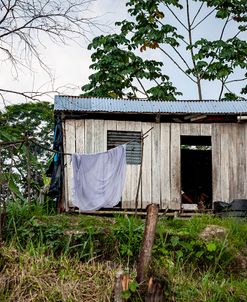 Wood Shack