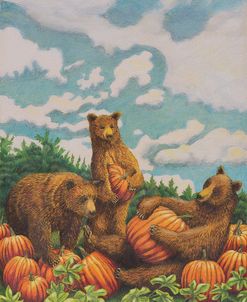 Bears in Pumpkin Patch