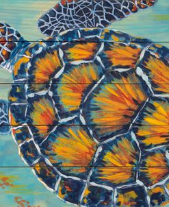 Sea Turtle On Wood Pickets