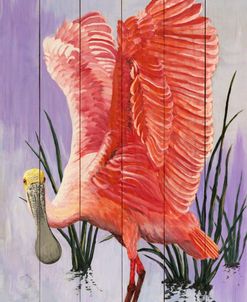 Spoonbill On Wood Pickets
