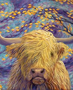 Highland Cow On A Windy Day