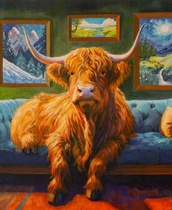Highland Cow on Sofa