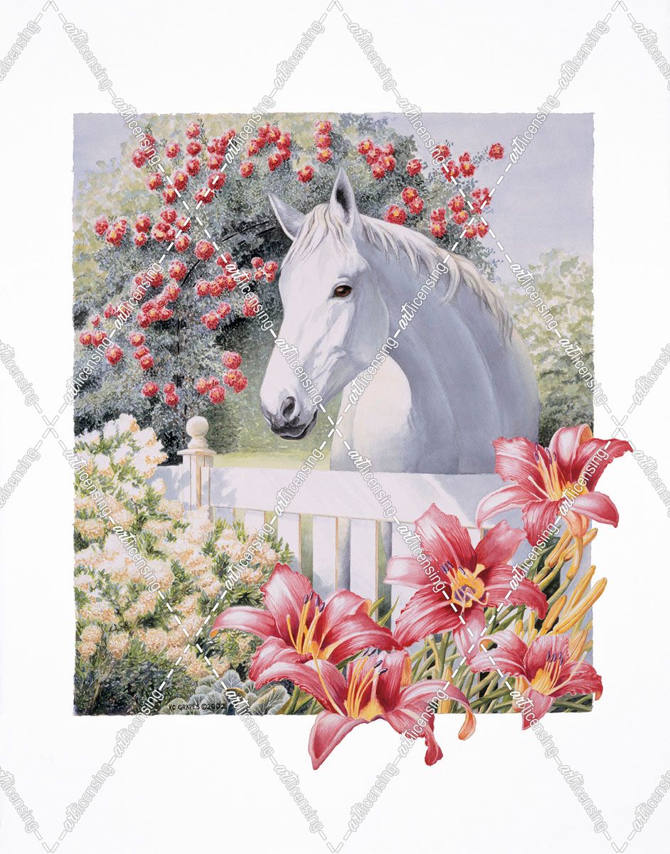 Garden Pony