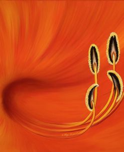 Tiger Lily