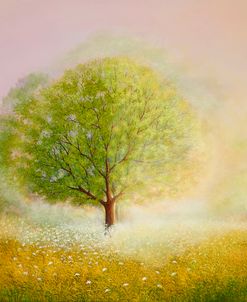 Sateen In The Morning