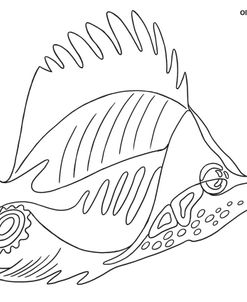 Coral Fish 3