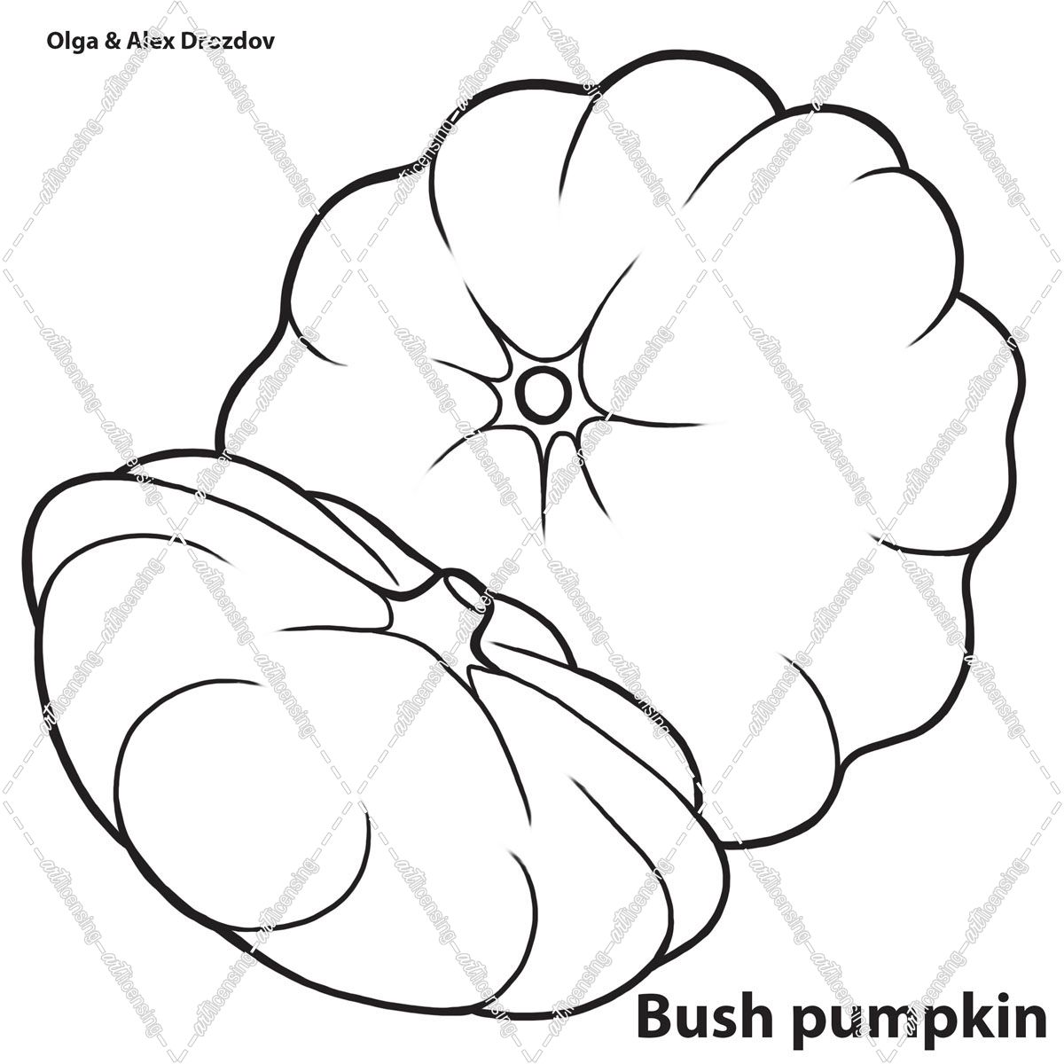 Bush Pumpkin