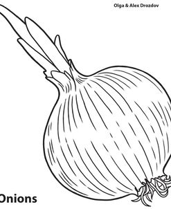 Onion