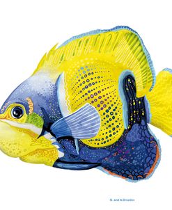 Fish 3 Blue-Yellow