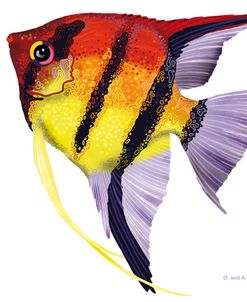 Fish 4 Red-Yellow