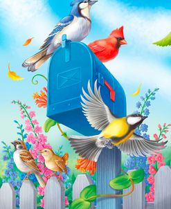 Birds And Mailbox