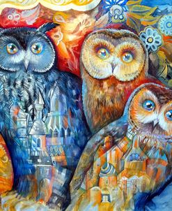 Owls