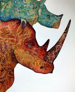 Rhinos